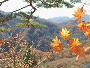 ASPZ最新動態(tài)，友情小船在湖面上蕩漾的日子