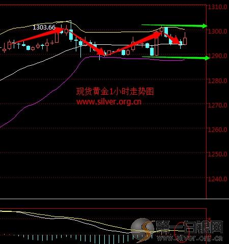 黃金價格走勢圖今日，友情與陪伴的溫馨故事